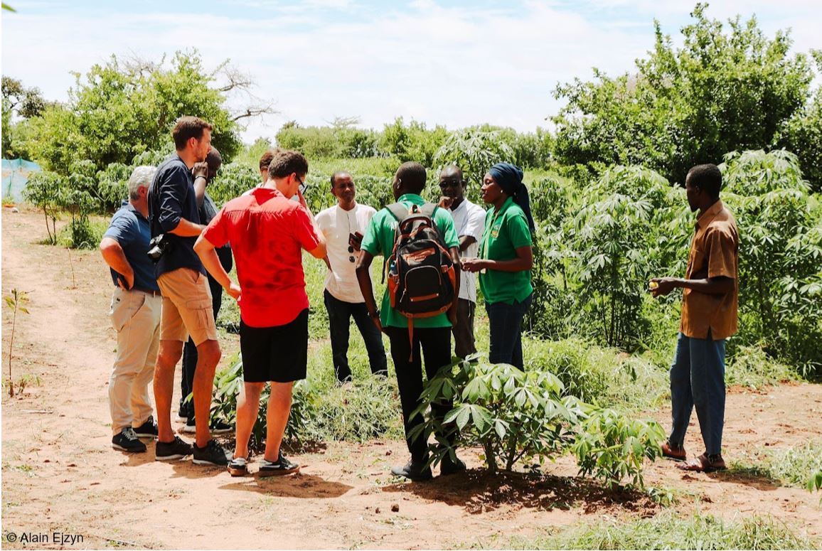 Agroforestry use case in the the north of Senegal